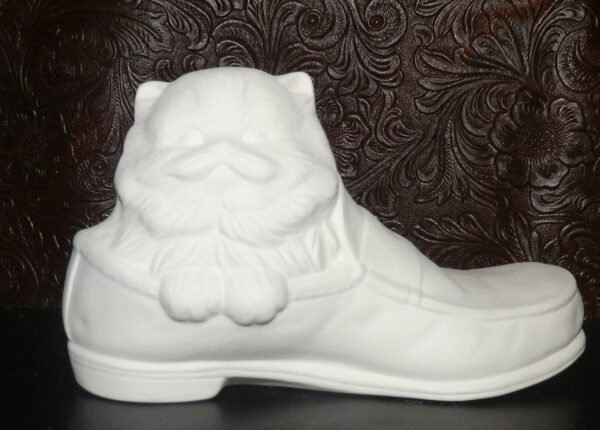 Alberta Kitten in Shoe