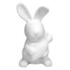 1042.jpg Bunny Rabbit with Carrot