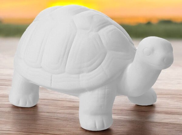 11313-Photoroom.jpg Large Turbo the Turtle