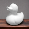 Rubber Ducky