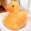 Rubber Ducky