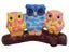 Owl Family