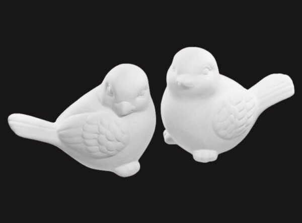 1452_0_1.jpg Tweety Twins Birds