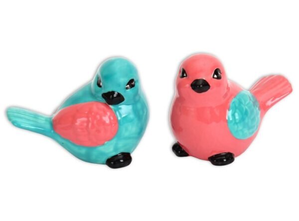 1452_1.jpg Tweety Twins Birds