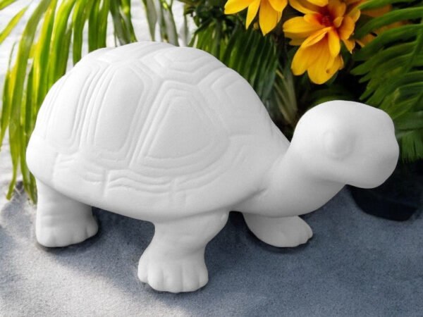 Turbo the Turtle