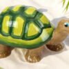 Turbo the Turtle