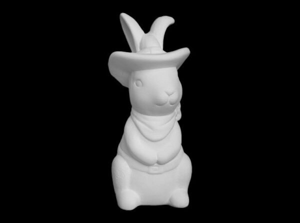 Buckaroo Bunny Rabbit