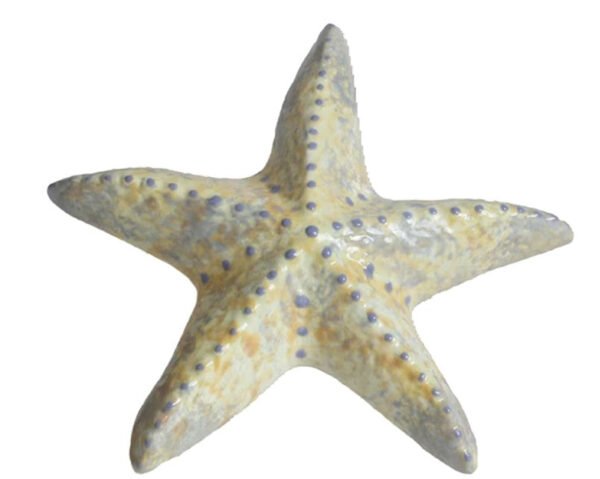 5" Starfish