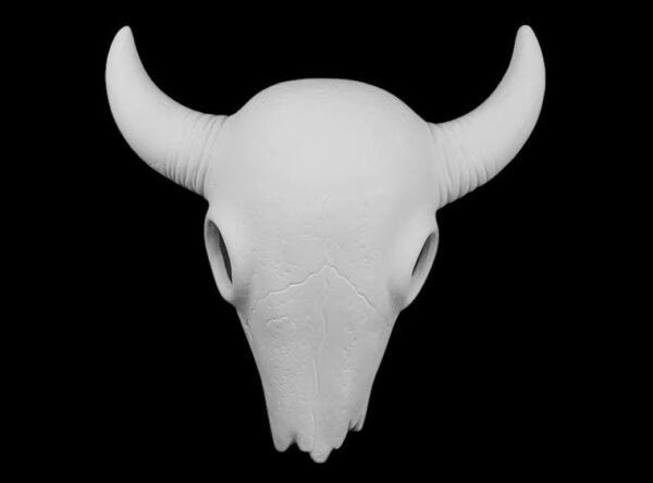 Mounted Steer Skull