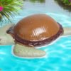 Sea Turtle Plaque