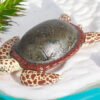 Sea Turtle Plaque