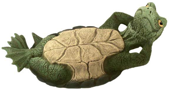 Turtles with Attitudes Laying on Back