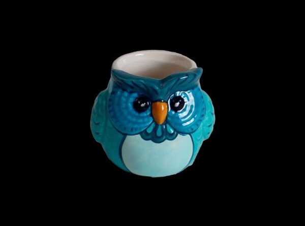 3967_1-Photoroom.jpg Mini Owl Planter