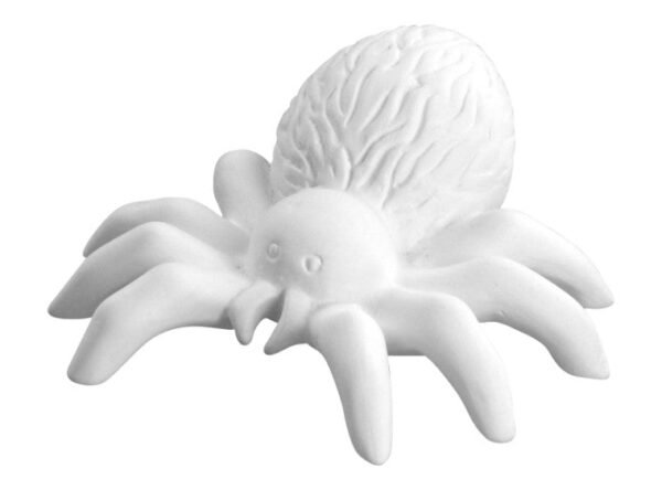 4284-Photoroom.jpg Creepy Spider