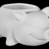 4H1001_0-Photoroom.jpg 4-H Pig Container Planter