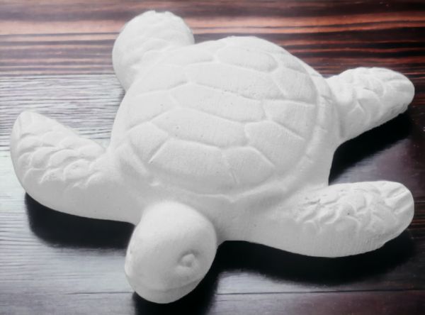 Tiny Flat Bottom Sea Turtle