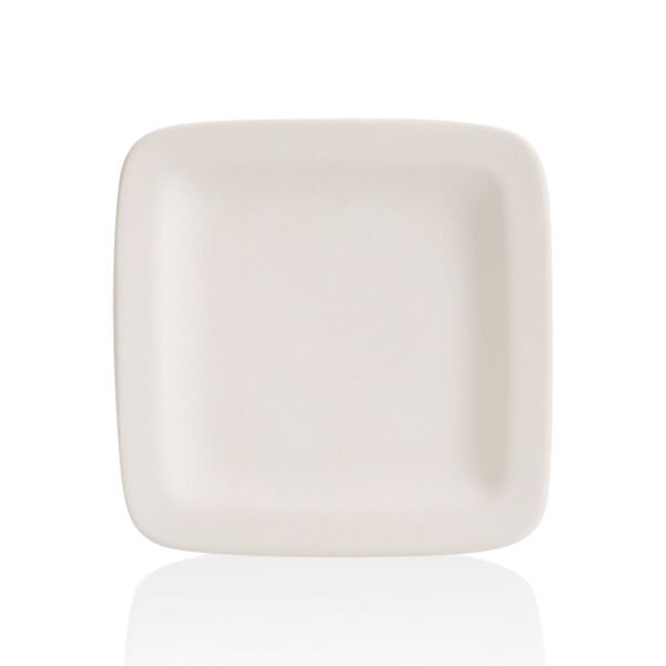 Square Rim Dinner Plate