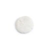 6760.jpg Sand Dollar Bisquies