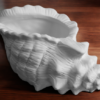 678_ProductImage_1_-PhotoRoom-PhotoRoom_1.png Conch Shell Planter