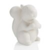 80156.jpg Squirrel Party Animal