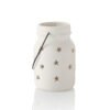 80249.jpg Jar Star Lantern - Medium