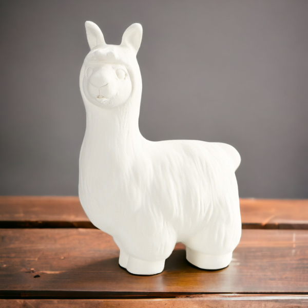 Llama Party Animal