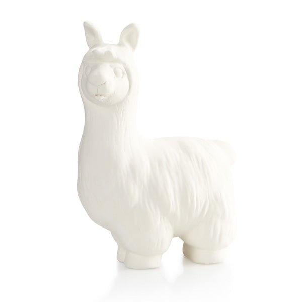Llama Party Animal