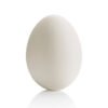 80594_73442186-066f-4305-949d-4fd869513390.jpg Bisque Egg 3 1/2"