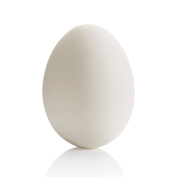Bisque Egg 3 1/2"