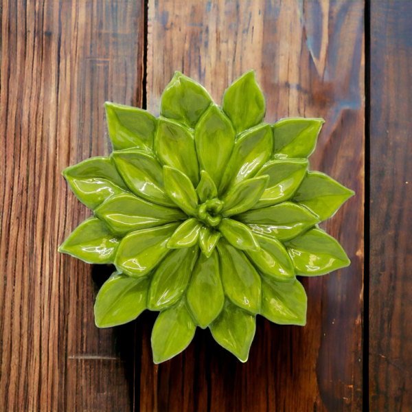 Small Succulent Wall Plaque