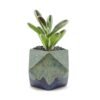 Medium Prismware Planter