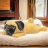 80717_1_1_-PhotoRoom.png Pug Sploot