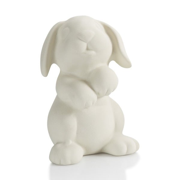 8466.jpg Rabbit Party Animal