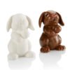 8466_1.jpg Rabbit Party Animal