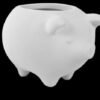 This Little Piggy Planter