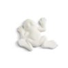 Frog Bisquies