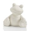 Frog Party Animal