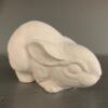 IMG_0879.jpg Crouching Bunny Rabbit