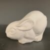 IMG_0880.jpg Crouching Bunny Rabbit