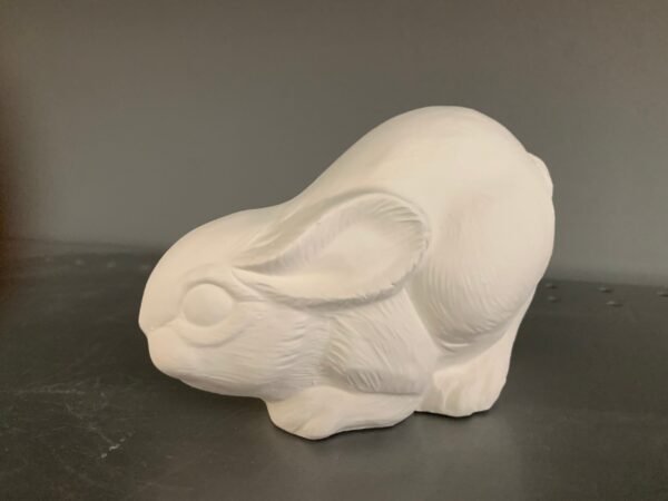 IMG_0880.jpg Crouching Bunny Rabbit