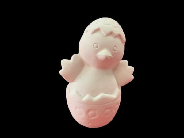 IMG_1548-Photoroom.jpg Baby Hatching Chick