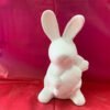 IMG_1549.jpg Bunny Rabbit with Carrot