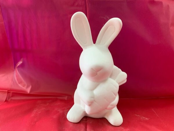 IMG_1549.jpg Bunny Rabbit with Carrot