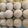 IMG_1656.jpg Bisque Egg
