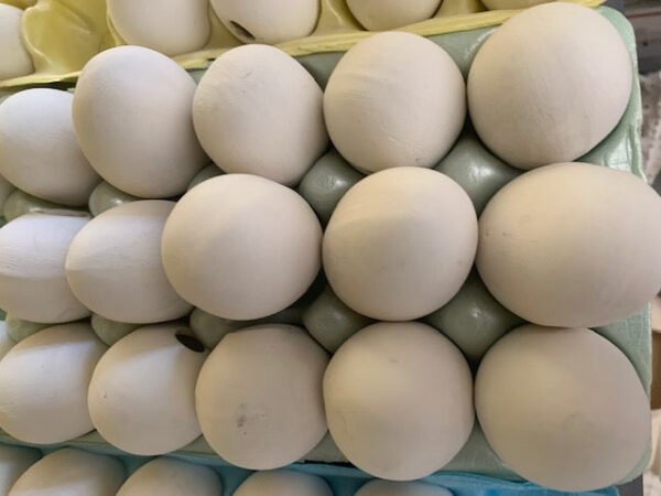 IMG_1656.jpg Bisque Egg