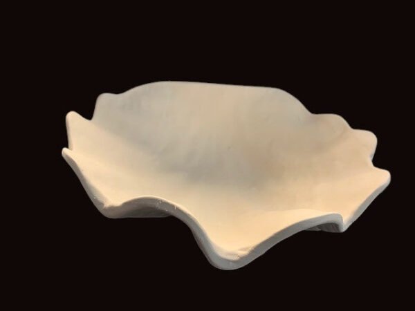 IMG_5381_1.jpg Large Seashell Bowl