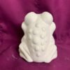 Frog Scrubbie Holder