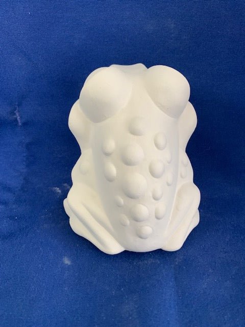 Frog Scrubbie Holder