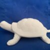 Garden or Plant Turtle