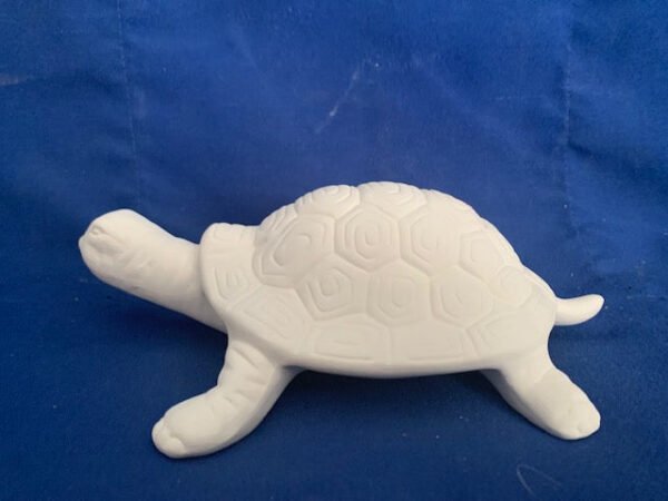 Garden or Plant Turtle